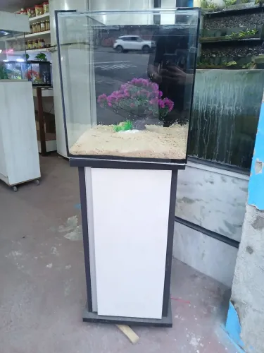 Aquario cubo