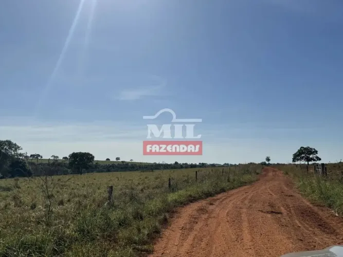 Fazenda 700 Alqueires (3.388 Hectares) Torixoreu - MT