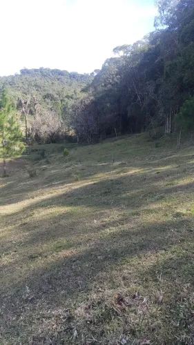 Terreno plano 2 ectares, muita água 