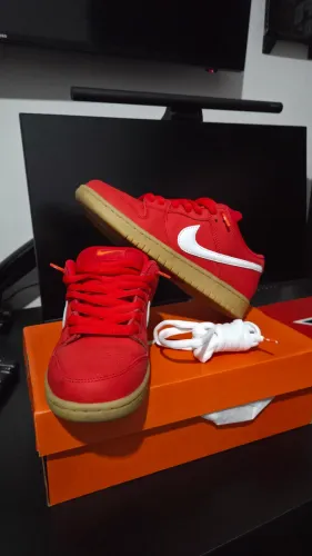 dunk sb low pro
