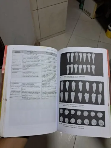 Anatomia do Dente - Madeira, 8ª edição