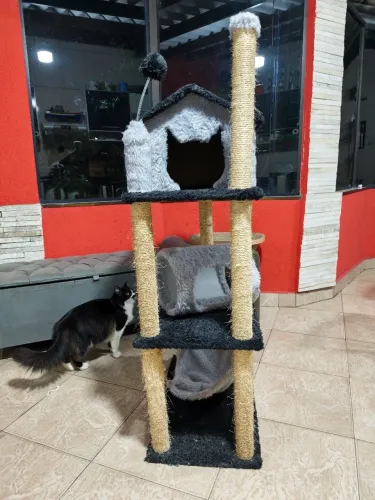 Arranhador e casa para gatos