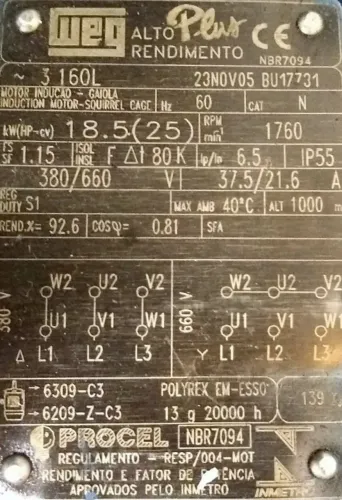 Motor 25cv