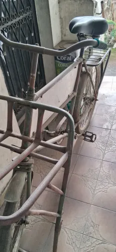 Bicicleta de carga (Helbia)