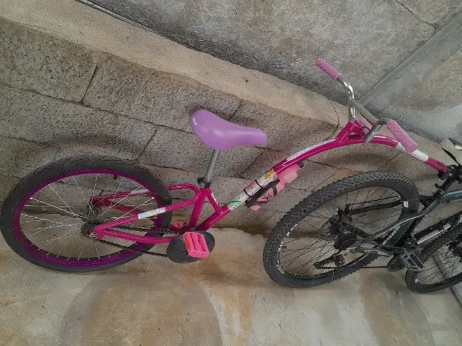 Bicicleta aro 20 ( bike caroninha)