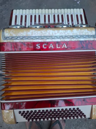 Acordeonista Scala 80 baixos
