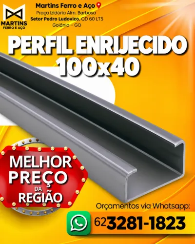 Perfil enrijecido 100x40