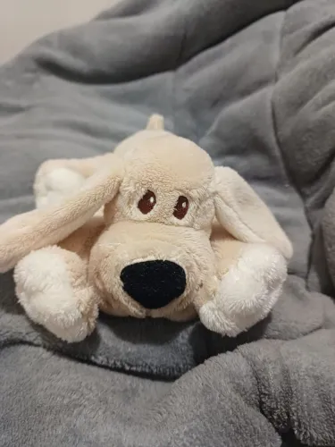 Cachorro pelúcia 