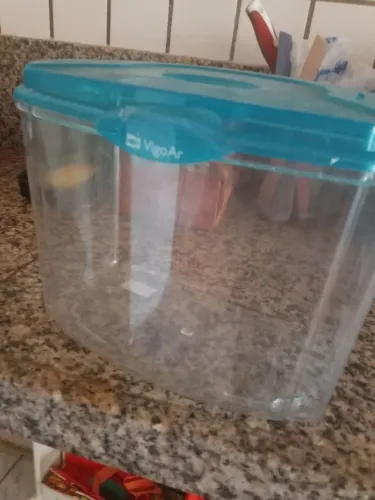 Aquário para peixe Betta