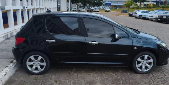 Peugeot 307 Soleil/ Presence 1.6/1.6 Flex 16V 5P 2009