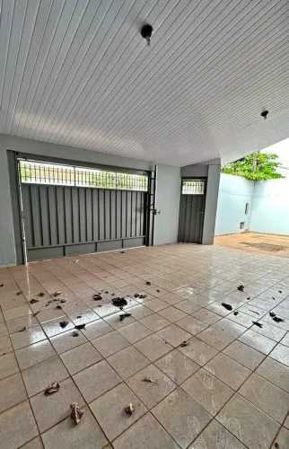 Casa no coqueiro