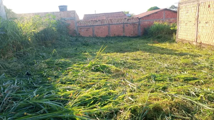 Vendo lote quitado 10x25 Bairro Amazonas