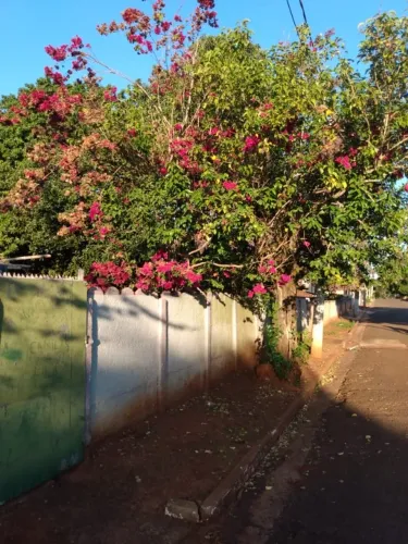Chácara Urbana com Riacho, 1.557m² Cidade Óleo - SP