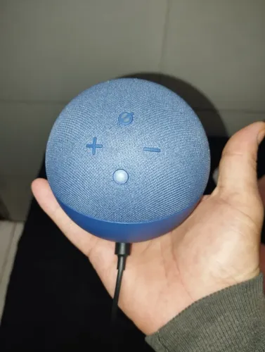 Alexa echo dot 4