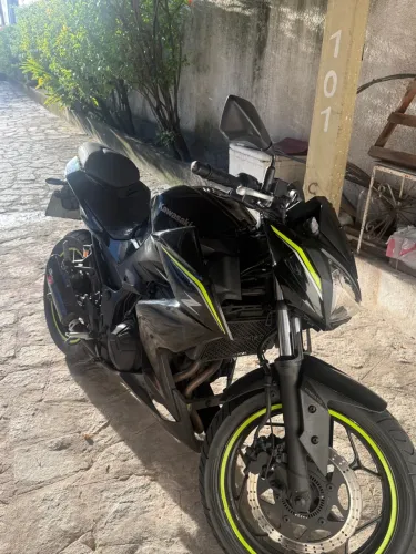 Kawasaki Z 300 2019