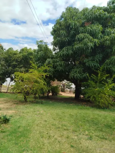Chácara na Caatinguinha (Petrolina) com acesso ao RIO a venda