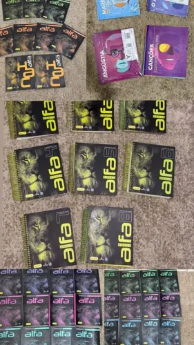 Livros Anglo Alfa Preparatório ENEM - Kit Completo