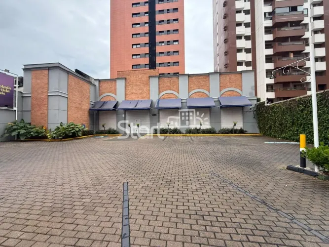 salão - Cambuí - Campinas