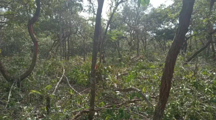 Lote/Terreno para venda com 1100 metros quadrados