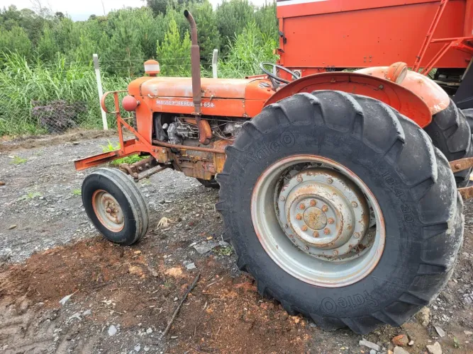TRATOR MASSEY FERGUSON 65X