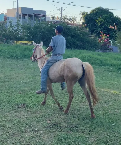 Égua
