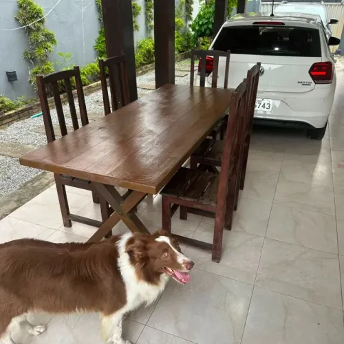 Mesa de Madeira Maciça c/ 6 Cadeiras
