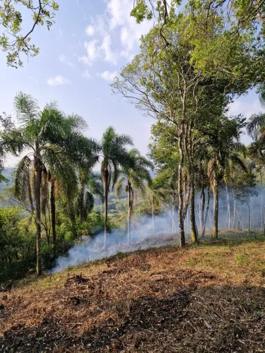 Estrada da Faxina 