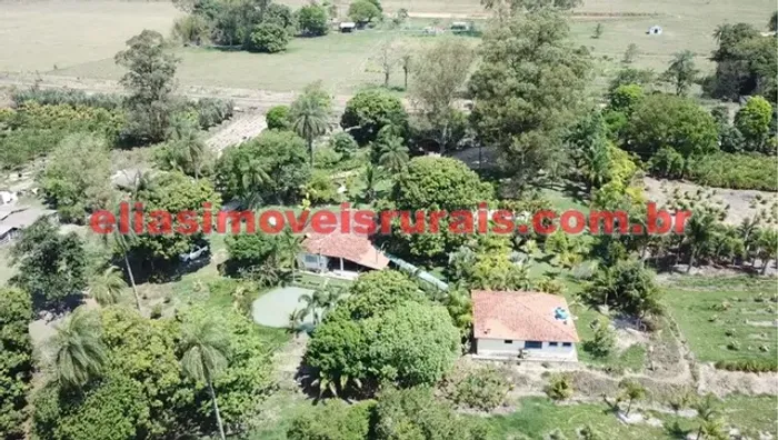 Sitio em Uberaba - Produção plantas ornamentais / viveiro