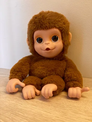 Macaquinho que interage 