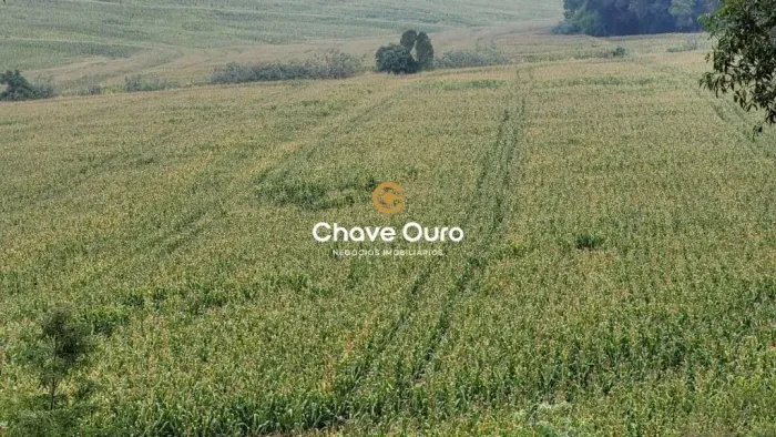 Área rural com 10 alqueires, ou 24.2 hectares com rio, pastagem e lavoura