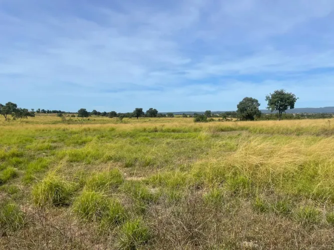 Fazenda 112,5 alqueires em bom jardim Goiás R$:16 milhões.