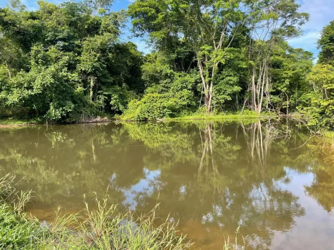 Fazenda em Goiás velho