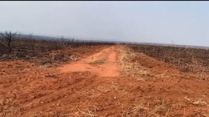 Fazenda 18.811hect em Tangará da Serra MT. 350 milhões.