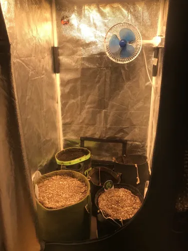 Grow 60 x60 largura 1,60 altura Led 135w Quantum board 