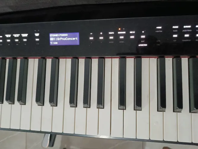Casio Privia px s3000