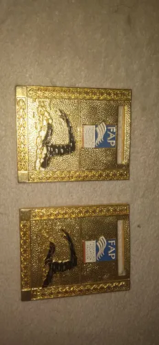 02 medalhas da federação aquatica Paulista de natação