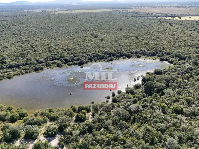 Fazenda 100 alqueires ( 485 hectares ) Talismã-TO