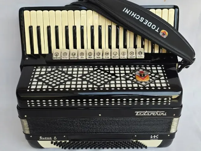 Acordeon 120 Baixos Todeschini Super Impecável