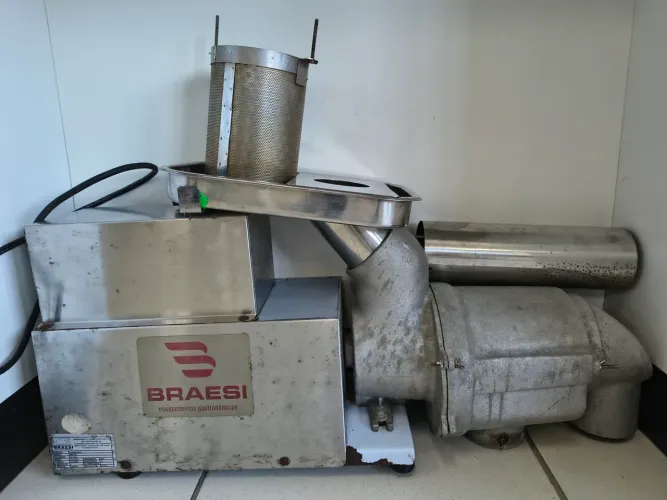 Despolpadeira industrial de frutas