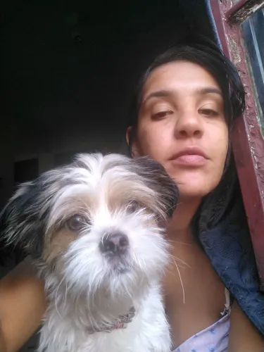 doação de cachorro