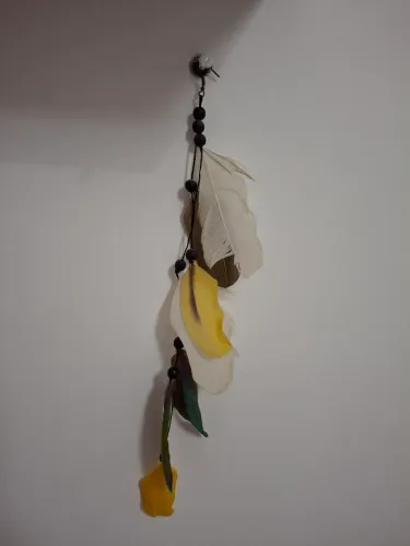 Brinco de penas, um lado