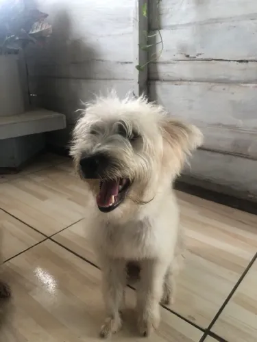 Doação 