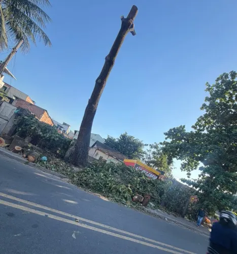 TERRENO NA PRINCIPAL, ÓTIMA LOCALIZAÇÃO