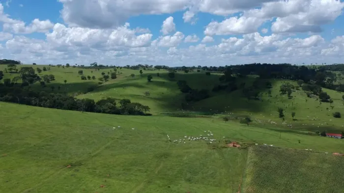 Fazenda em Ouro Verde de Goiás | 23 Alqueires | Com Córrego