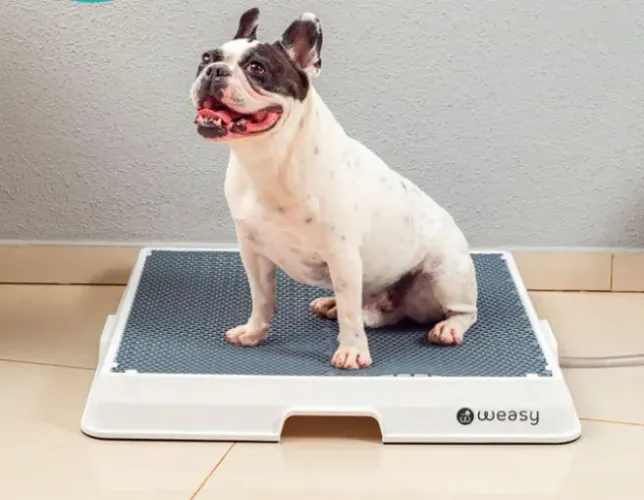Weasy para xixi e coco de animais