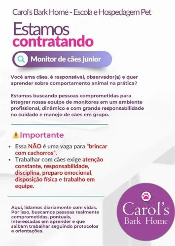 Vaga Monitor de Cães Junior