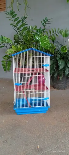 Gaiola pra hamster