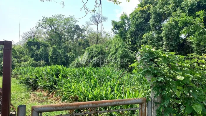 terreno - Parque Ortolândia - Hortolândia