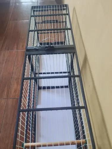Voador trinca 1.05