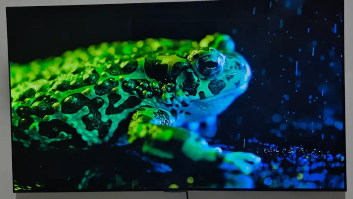LG OLED C3 55 POLEGADAS